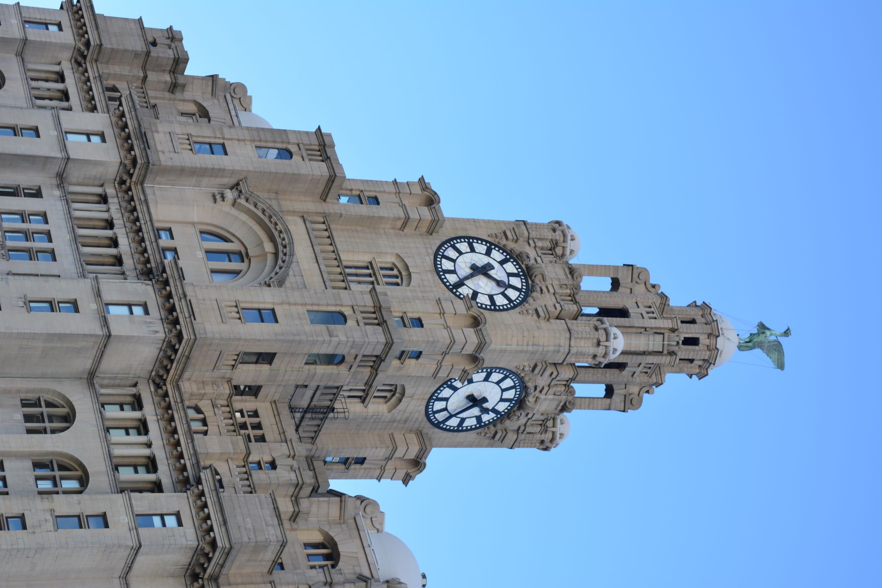 Liver Building