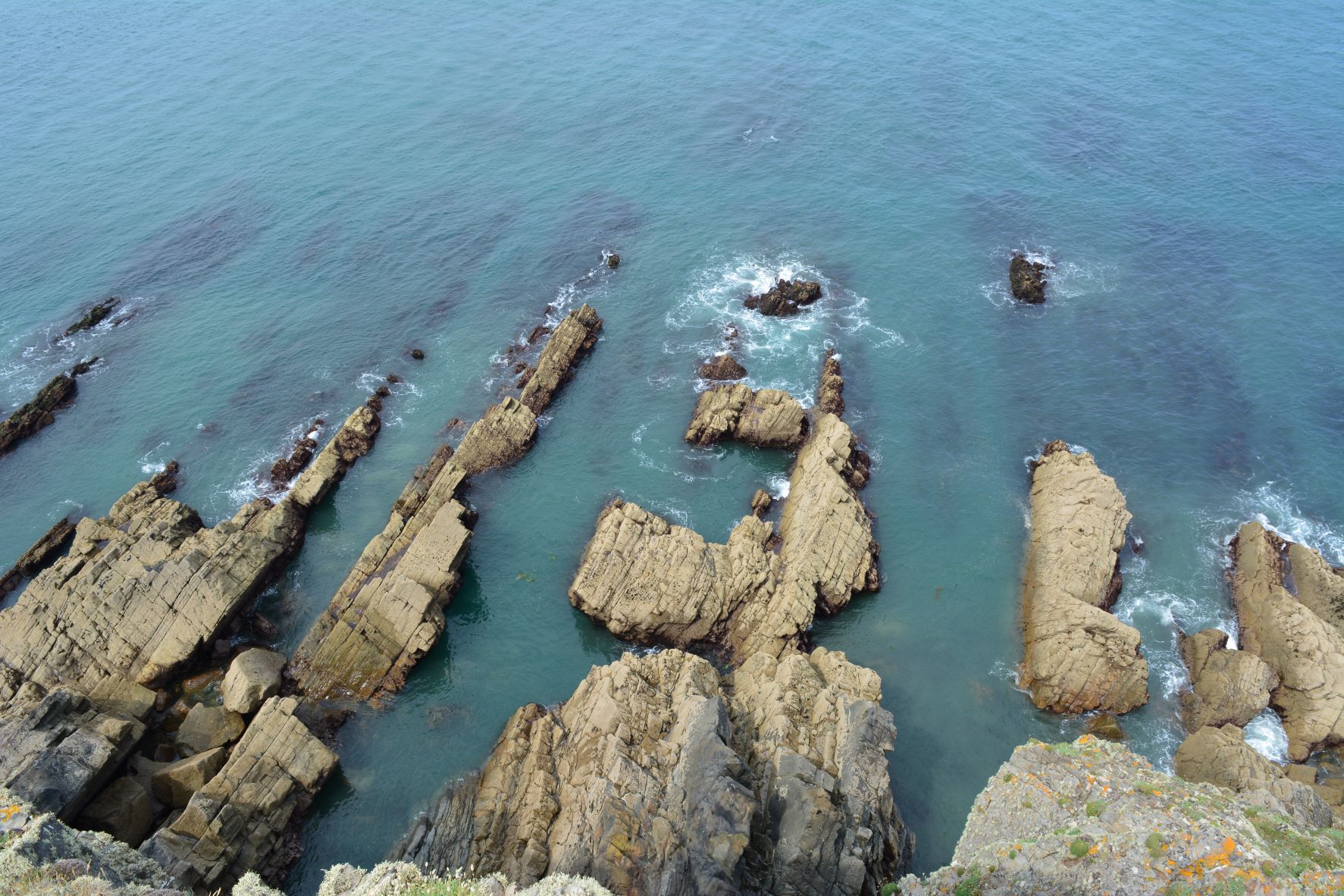 Rocks on Devon Coast